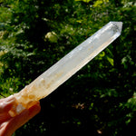 XL AAA Colombian Blue Smoke Lemurian Quartz Crystal Starbary, 8.25" 244g Record Keeper Crystal