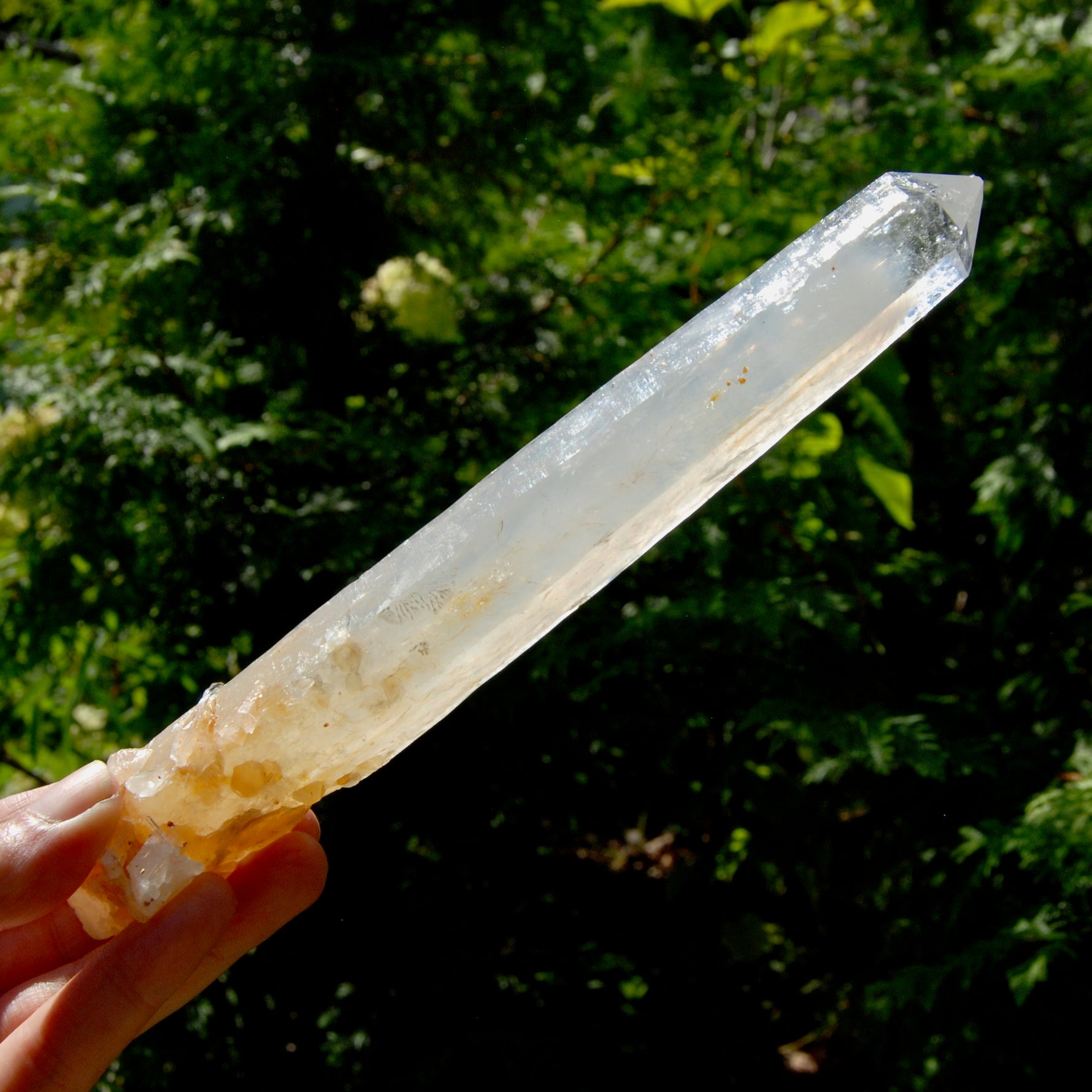 XL AAA Colombian Blue Smoke Lemurian Quartz Crystal Starbary, 8.25" 244g Record Keeper Crystal