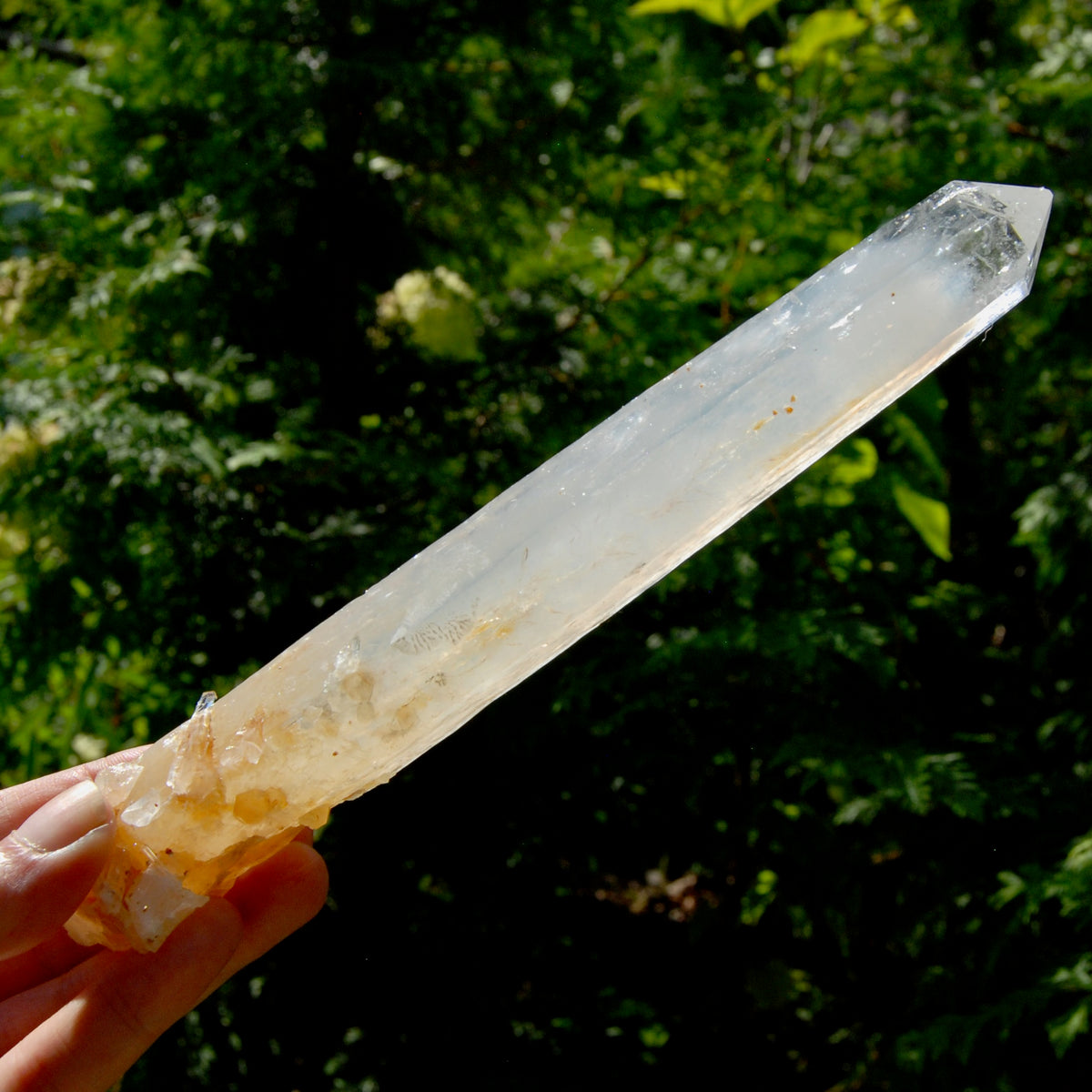 XL AAA Colombian Blue Smoke Lemurian Quartz Crystal Starbary, 8.25" 244g Record Keeper Crystal