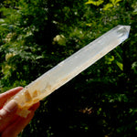 XL AAA Colombian Blue Smoke Lemurian Quartz Crystal Starbary, 8.25" 244g Record Keeper Crystal