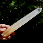 XL AAA Colombian Blue Smoke Lemurian Quartz Crystal Starbary, 8.25" 244g Record Keeper Crystal