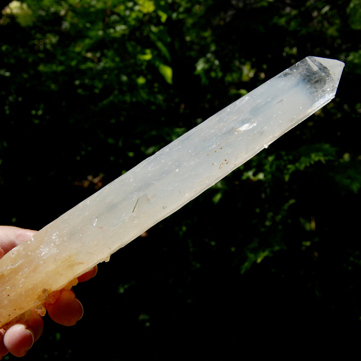 XL AAA Colombian Blue Smoke Lemurian Quartz Crystal Starbary, 8.25" 244g Record Keeper Crystal