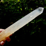 XL AAA Colombian Blue Smoke Lemurian Quartz Crystal Starbary, 8.25" 244g Record Keeper Crystal