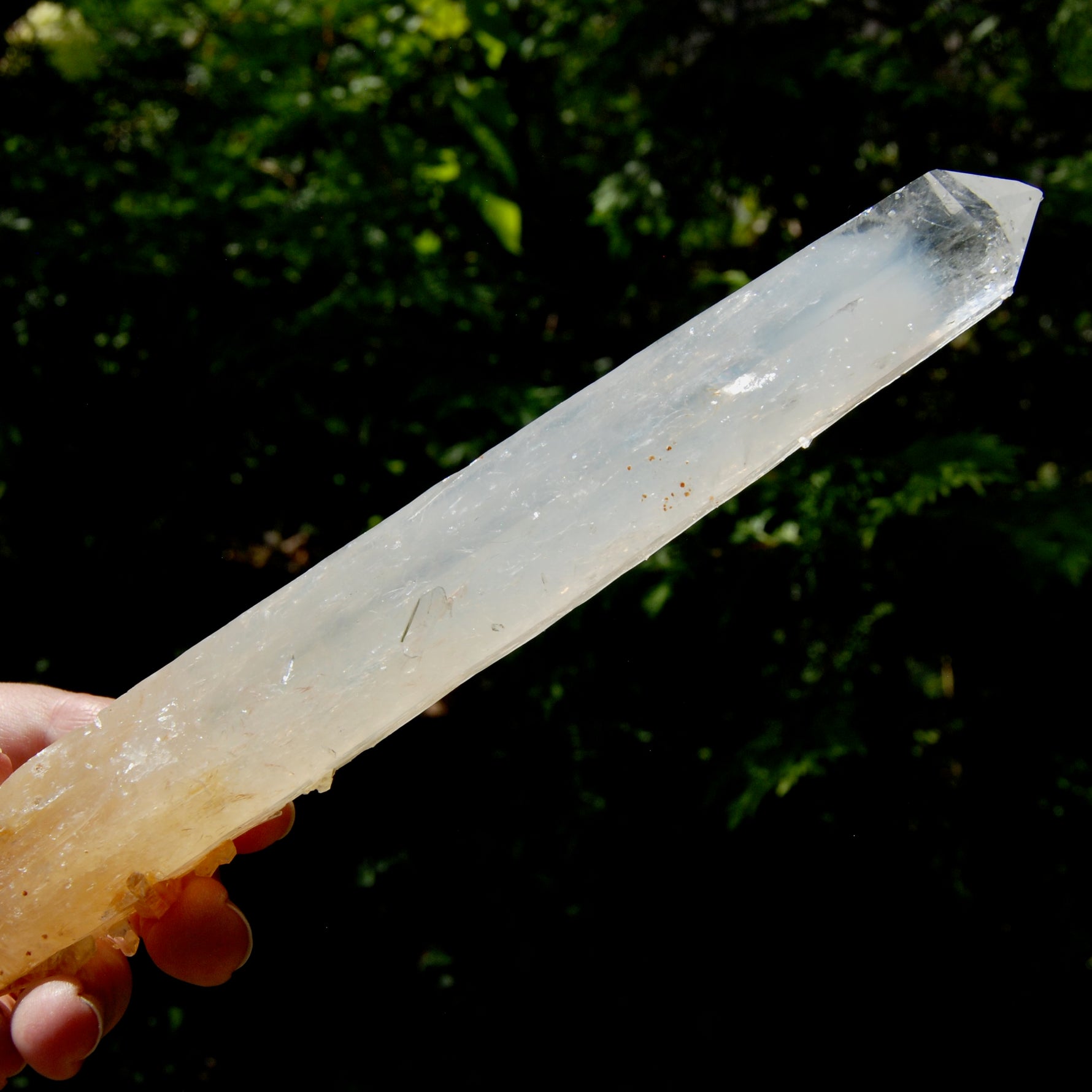 XL AAA Colombian Blue Smoke Lemurian Quartz Crystal Starbary, 8.25" 244g Record Keeper Crystal