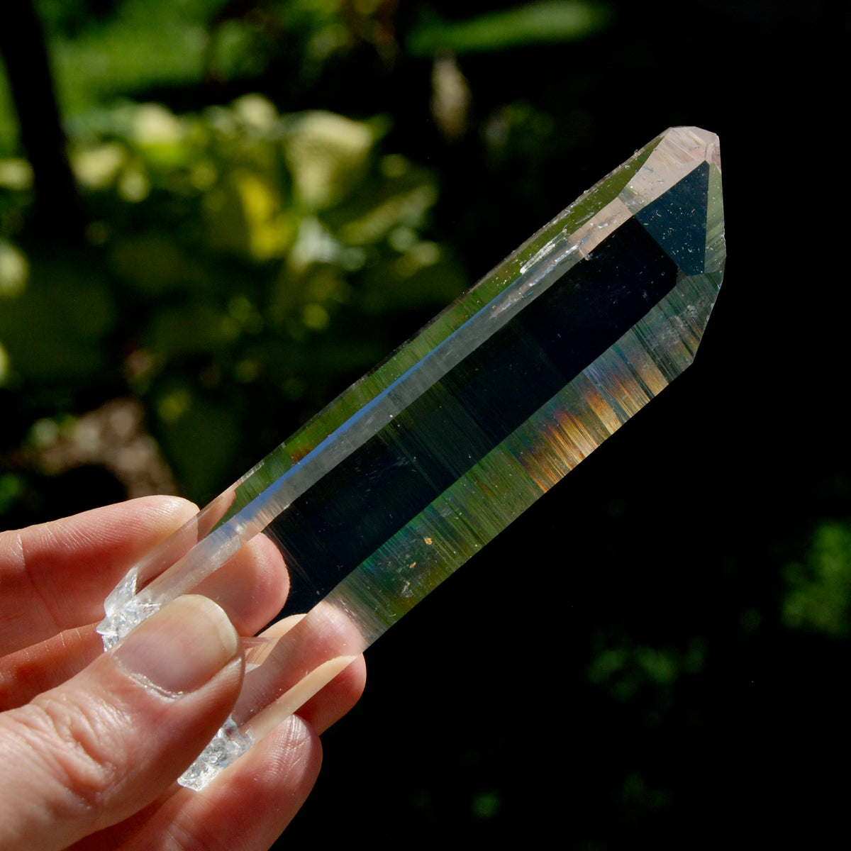 Trans Channeler Blades of Light Lemurian Crystal, 4.7" 135g Powerful Optical Quartz, Colombia