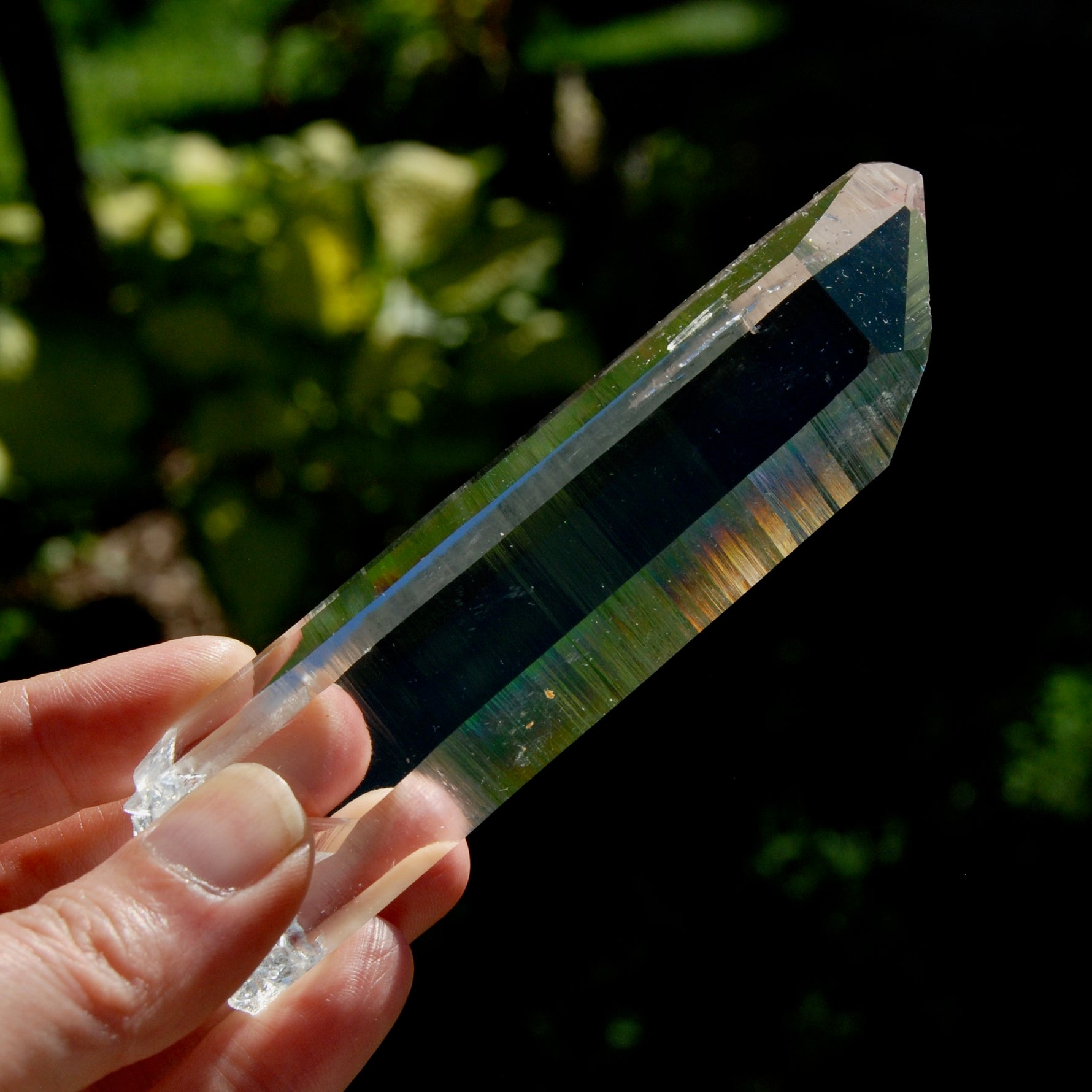 Trans Channeler Blades of Light Lemurian Crystal, 4.7" 135g Powerful Optical Quartz, Colombia