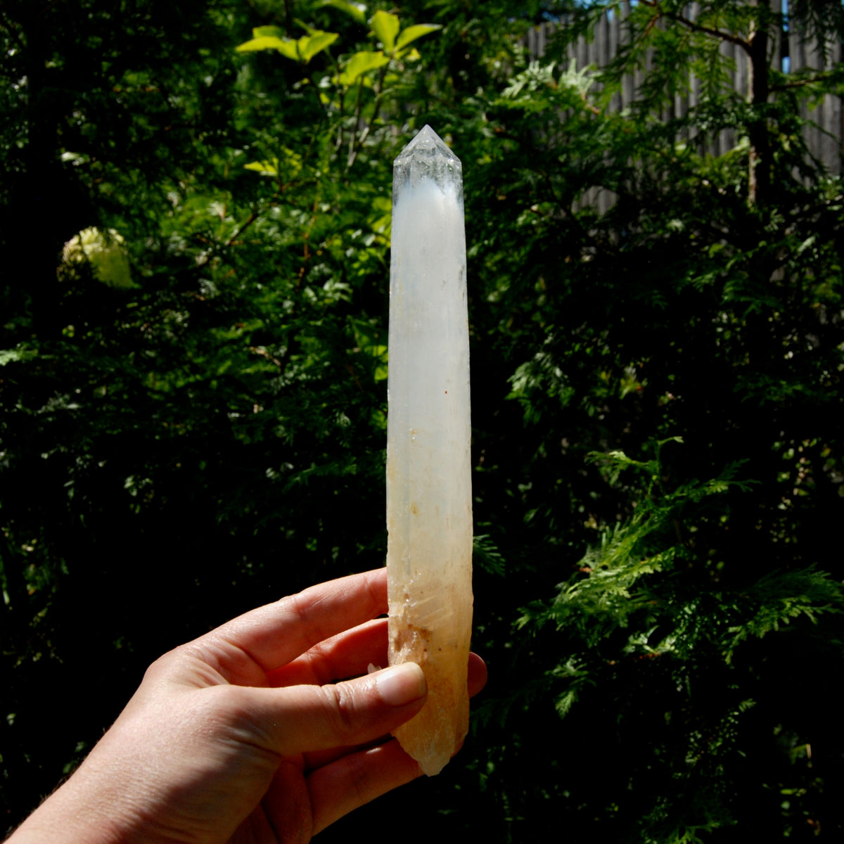 XL AAA Colombian Blue Smoke Lemurian Quartz Crystal Starbary, 8.25" 244g Record Keeper Crystal