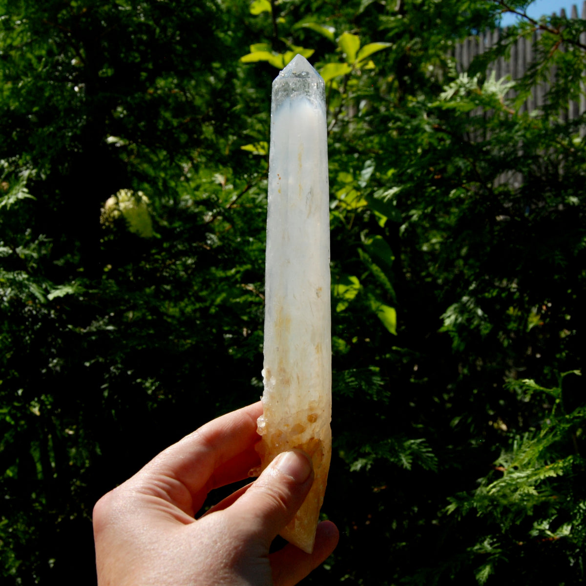 XL AAA Colombian Blue Smoke Lemurian Quartz Crystal Starbary, 8.25" 244g Record Keeper Crystal
