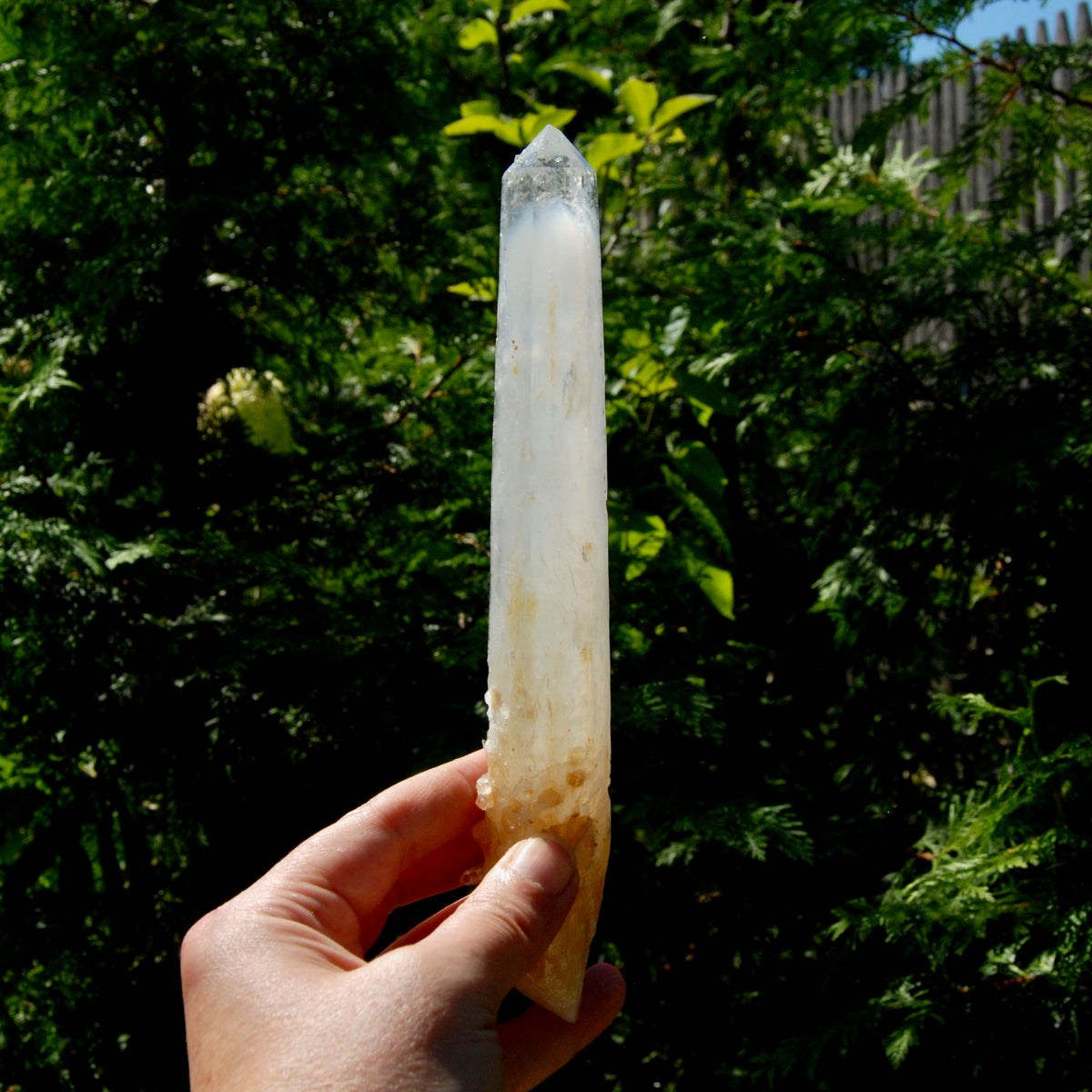 XL AAA Colombian Blue Smoke Lemurian Quartz Crystal Starbary, 8.25" 244g Record Keeper Crystal