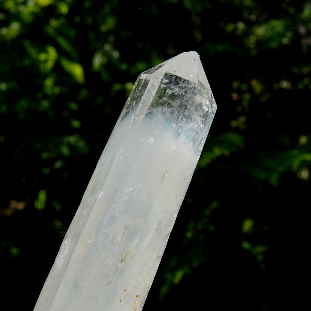 XL AAA Colombian Blue Smoke Lemurian Quartz Crystal Starbary, 8.25" 244g Record Keeper Crystal