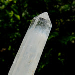 XL AAA Colombian Blue Smoke Lemurian Quartz Crystal Starbary, 8.25" 244g Record Keeper Crystal