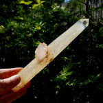 XL Colombian Blue Smoke Lemurian Quartz Crystal Starbary, Trigonic Record Keeper DT ET Crystal, Columbian Blue Smoke crystal