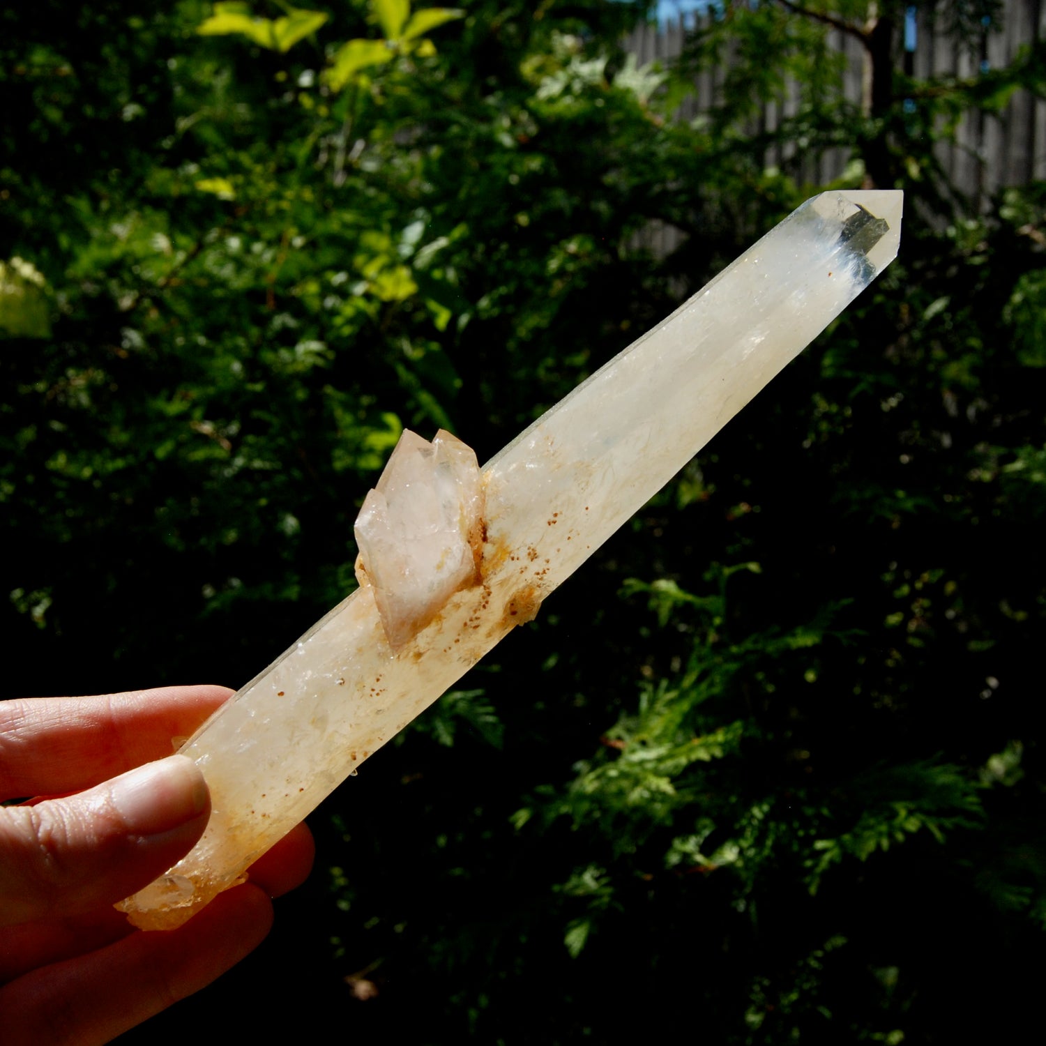 XL Colombian Blue Smoke Lemurian Quartz Crystal Starbary, Trigonic Record Keeper DT ET Crystal, Columbian Blue Smoke crystal