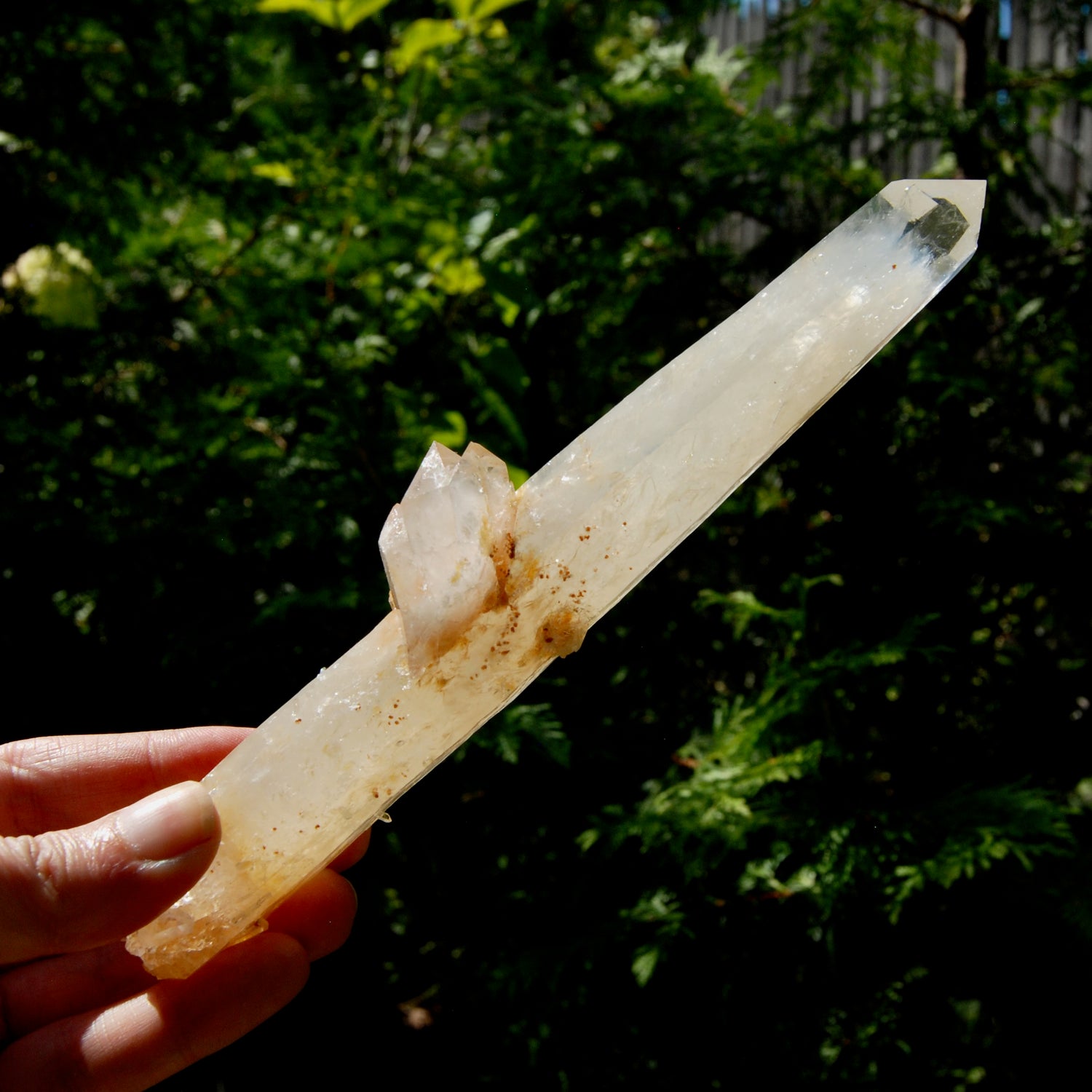 XL Colombian Blue Smoke Lemurian Quartz Crystal Starbary, Trigonic Record Keeper DT ET Crystal, Columbian Blue Smoke crystal