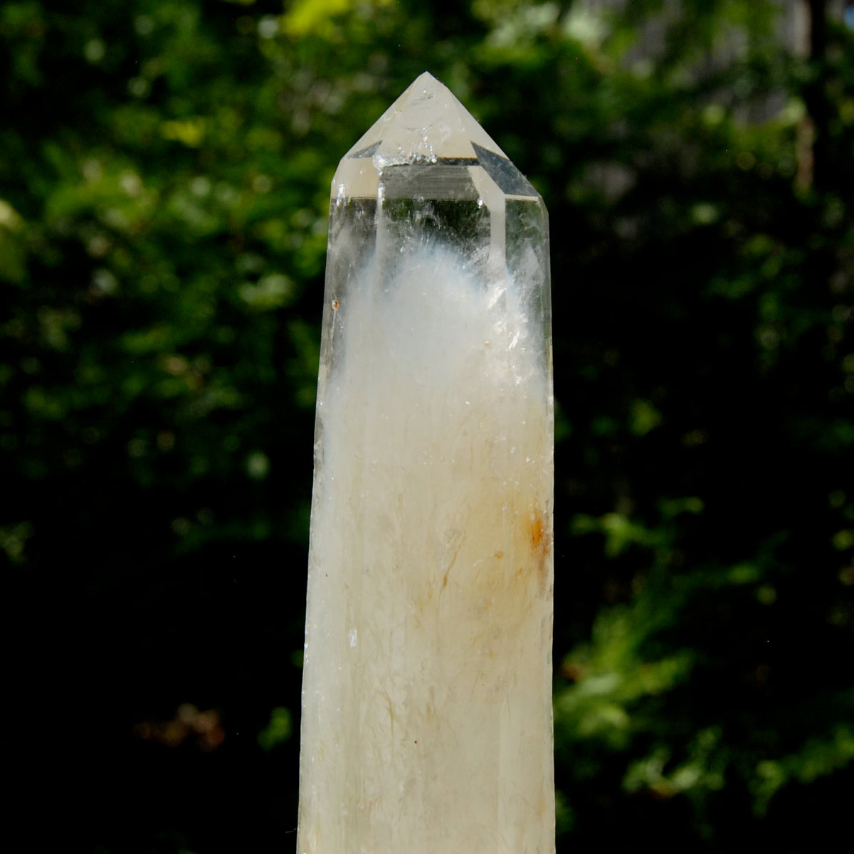 XL Colombian Blue Smoke Lemurian Quartz Crystal Starbary, Trigonic Record Keeper DT ET Crystal, Columbian Blue Smoke crystal