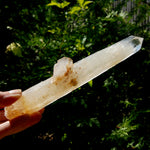 XL Colombian Blue Smoke Lemurian Quartz Crystal Starbary, Trigonic Record Keeper DT ET Crystal, Columbian Blue Smoke crystal