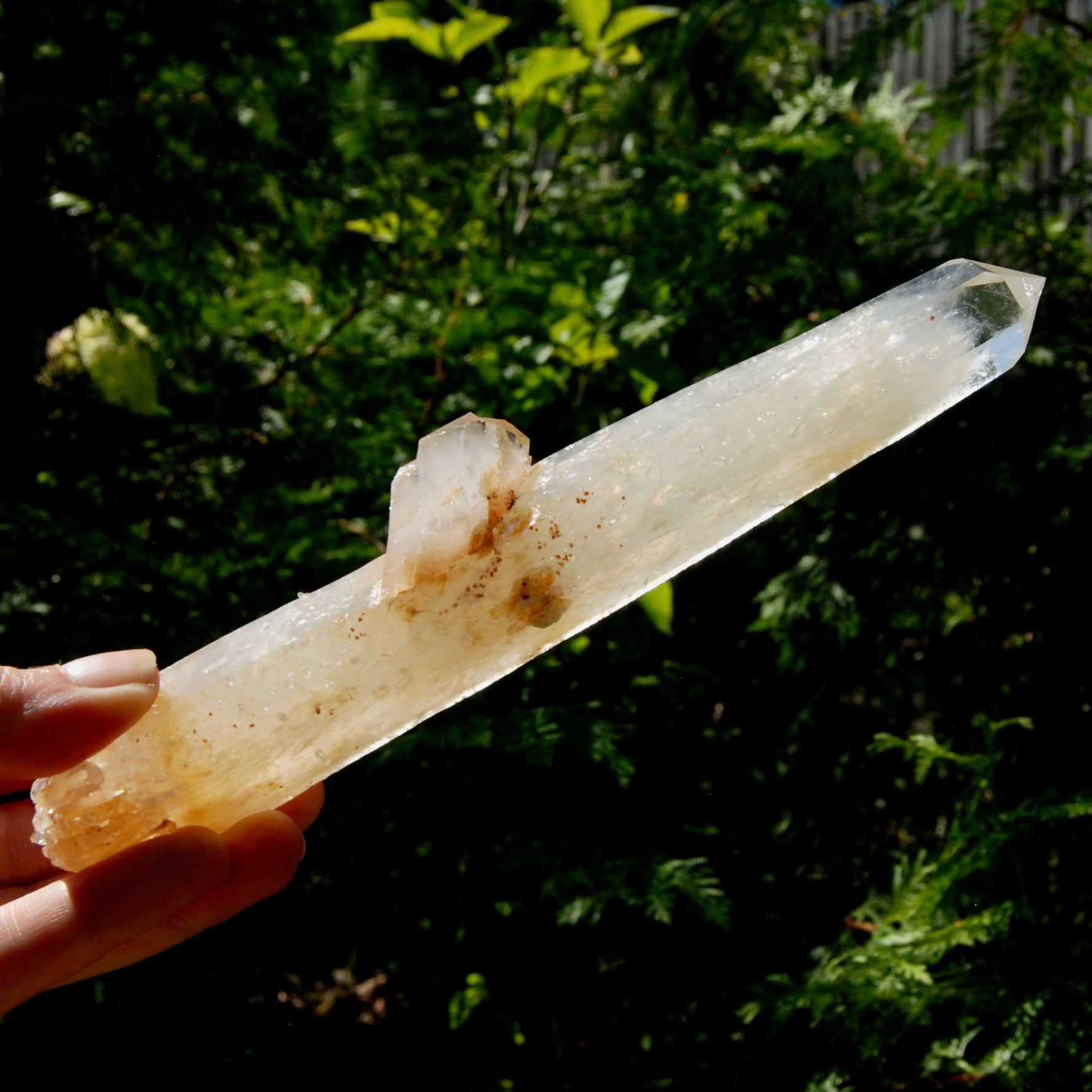 XL Colombian Blue Smoke Lemurian Quartz Crystal Starbary, Trigonic Record Keeper DT ET Crystal, Columbian Blue Smoke crystal