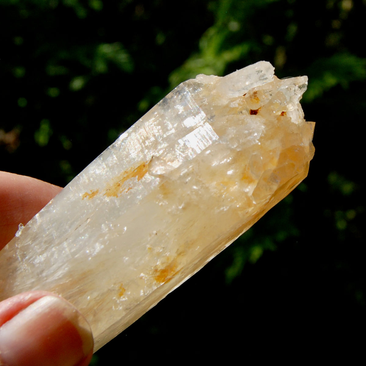 XL Colombian Blue Smoke Lemurian Quartz Crystal Starbary, Trigonic Record Keeper DT ET Crystal, Columbian Blue Smoke crystal