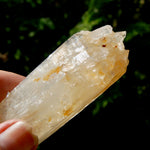 XL Colombian Blue Smoke Lemurian Quartz Crystal Starbary, Trigonic Record Keeper DT ET Crystal, Columbian Blue Smoke crystal
