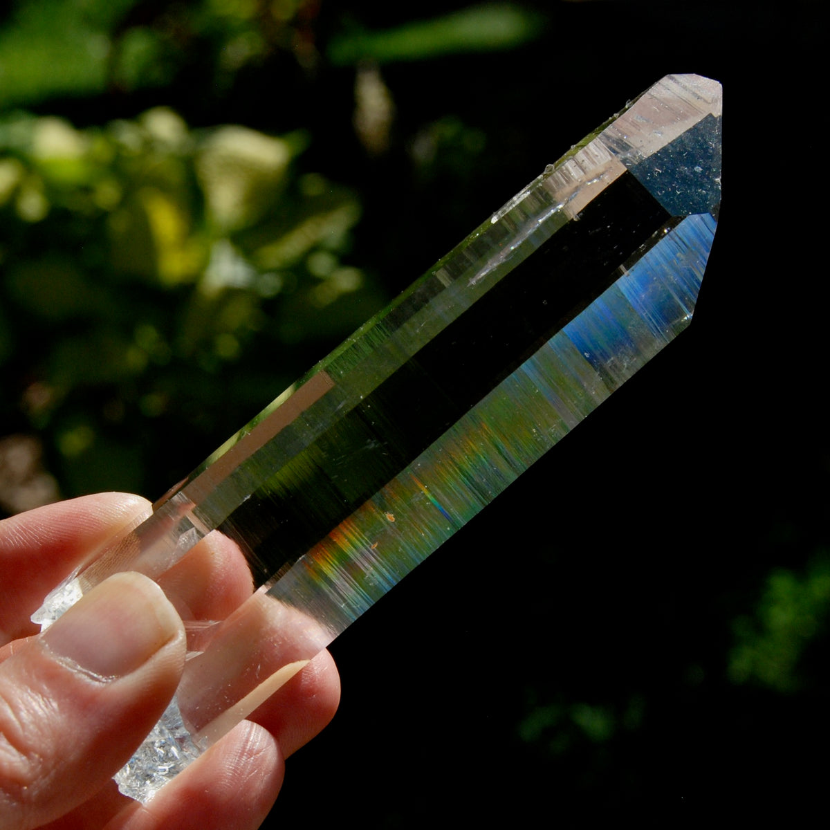 Trans Channeler Blades of Light Lemurian Crystal, 4.7" 135g Powerful Optical Quartz, Colombia