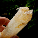 XL Colombian Blue Smoke Lemurian Quartz Crystal Starbary, Trigonic Record Keeper DT ET Crystal, Columbian Blue Smoke crystal