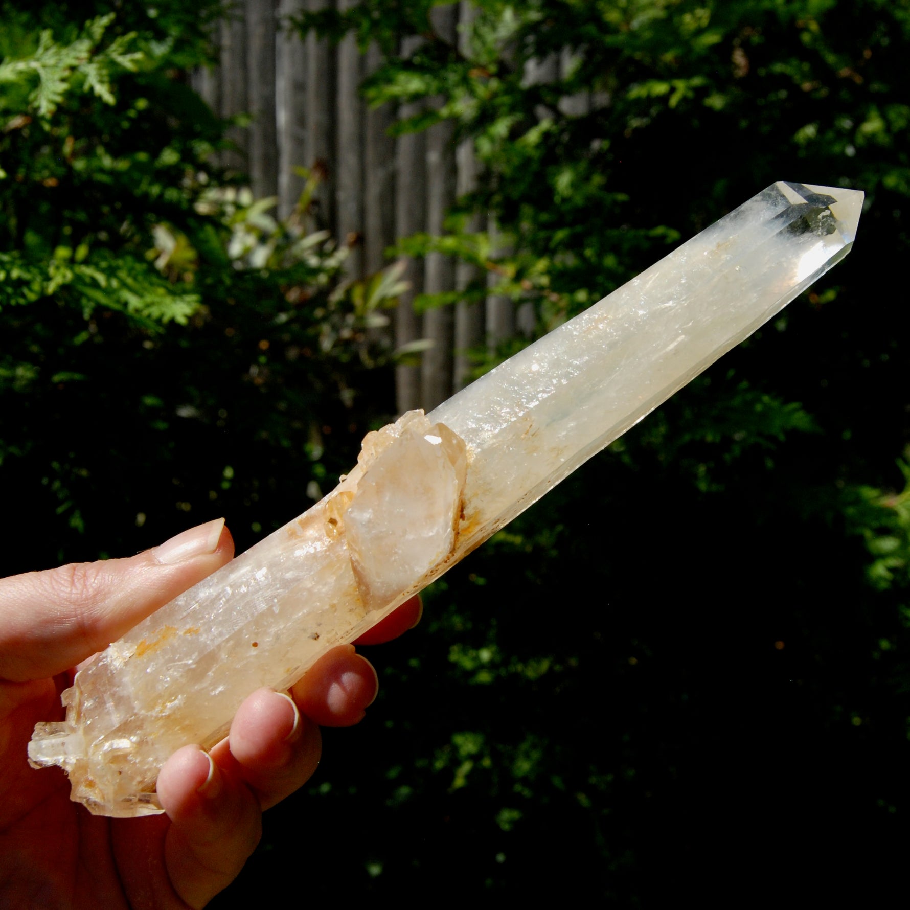 XL Colombian Blue Smoke Lemurian Quartz Crystal Starbary, Trigonic Record Keeper DT ET Crystal, Columbian Blue Smoke crystal