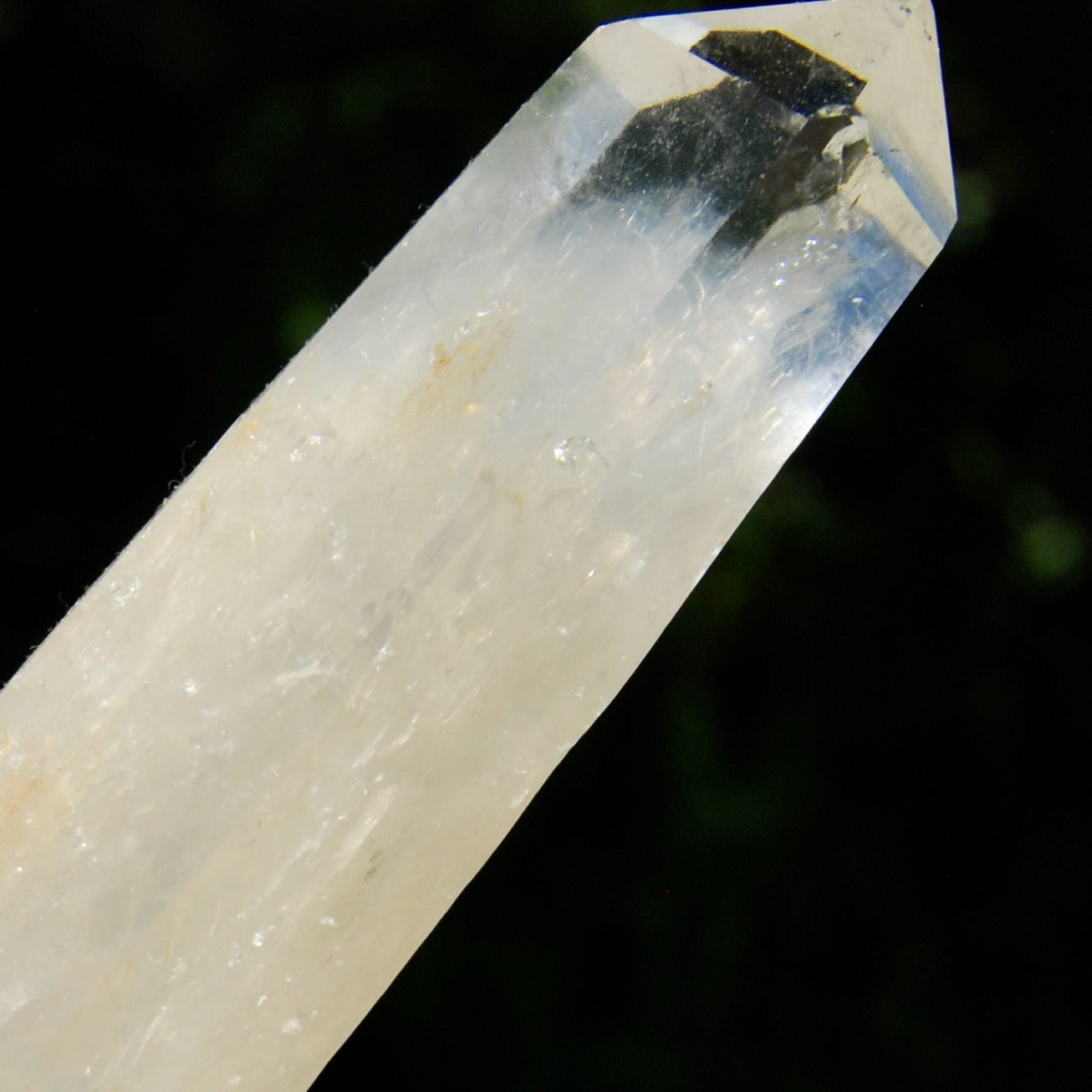 XL Colombian Blue Smoke Lemurian Quartz Crystal Starbary, Trigonic Record Keeper DT ET Crystal, Columbian Blue Smoke crystal