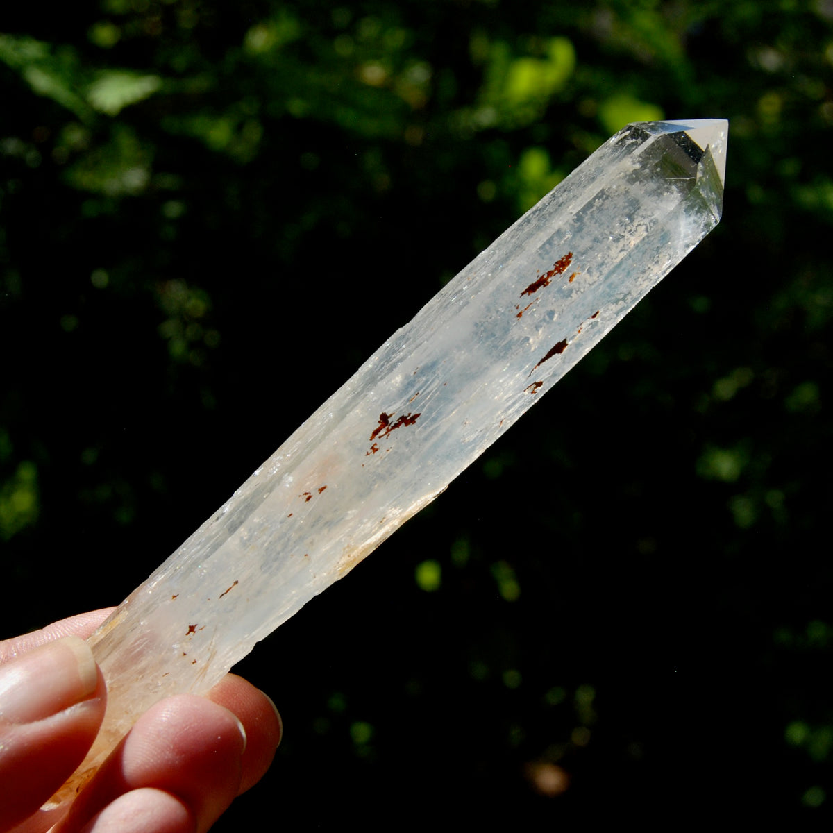 Colombian Blue Smoke Lemurian Crystal Starbary, RARE AAA Optical Quartz