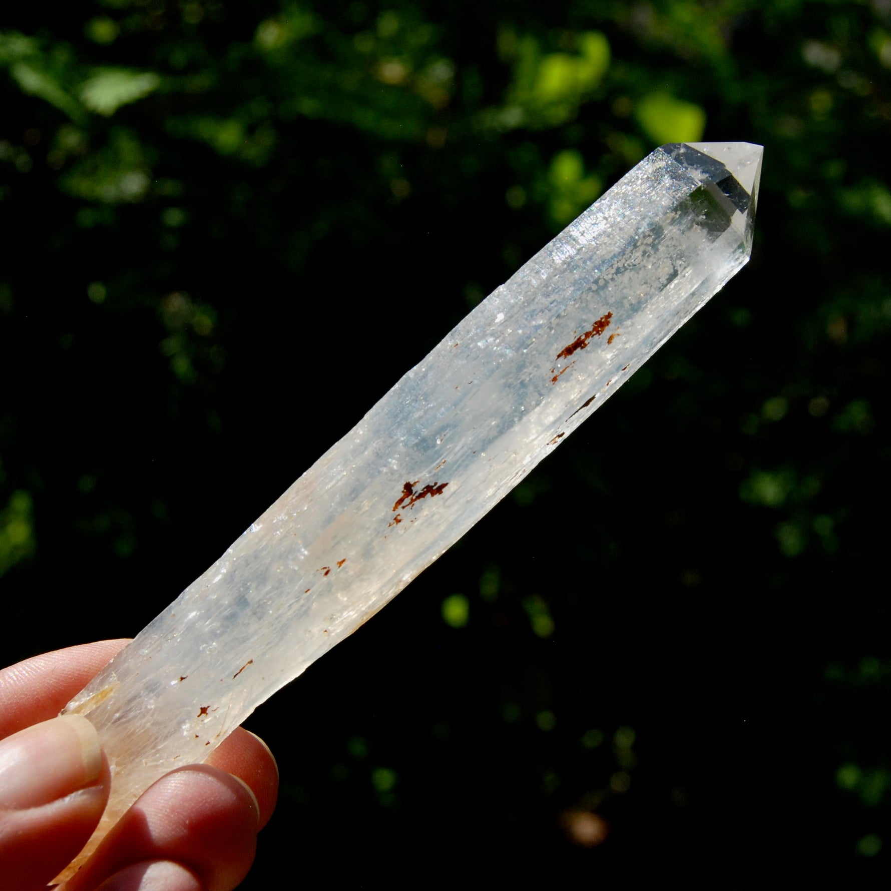 Colombian Blue Smoke Lemurian Crystal Starbary, RARE AAA Optical Quartz