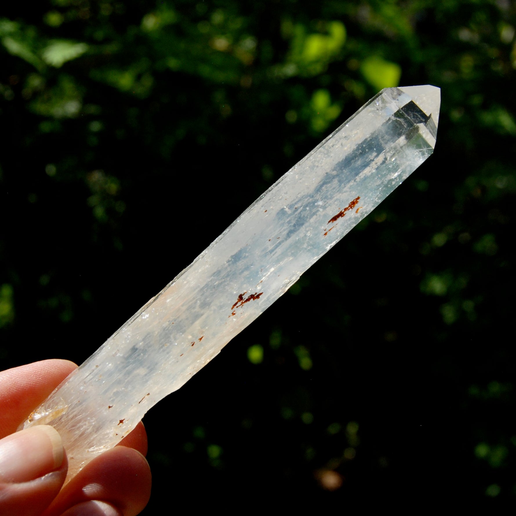 Colombian Blue Smoke Lemurian Crystal Starbary, RARE AAA Optical Quartz