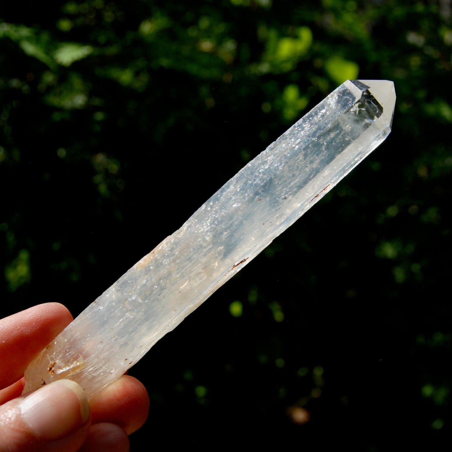 Colombian Blue Smoke Lemurian Crystal Starbary, RARE AAA Optical Quartz