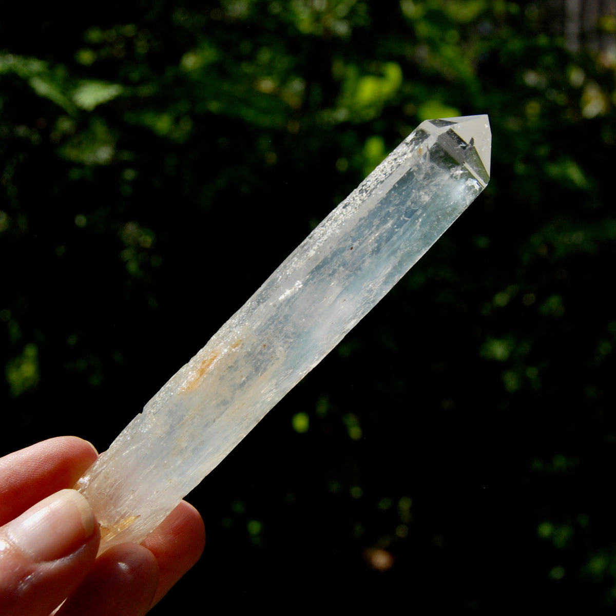 Colombian Blue Smoke Lemurian Crystal Starbary, RARE AAA Optical Quartz