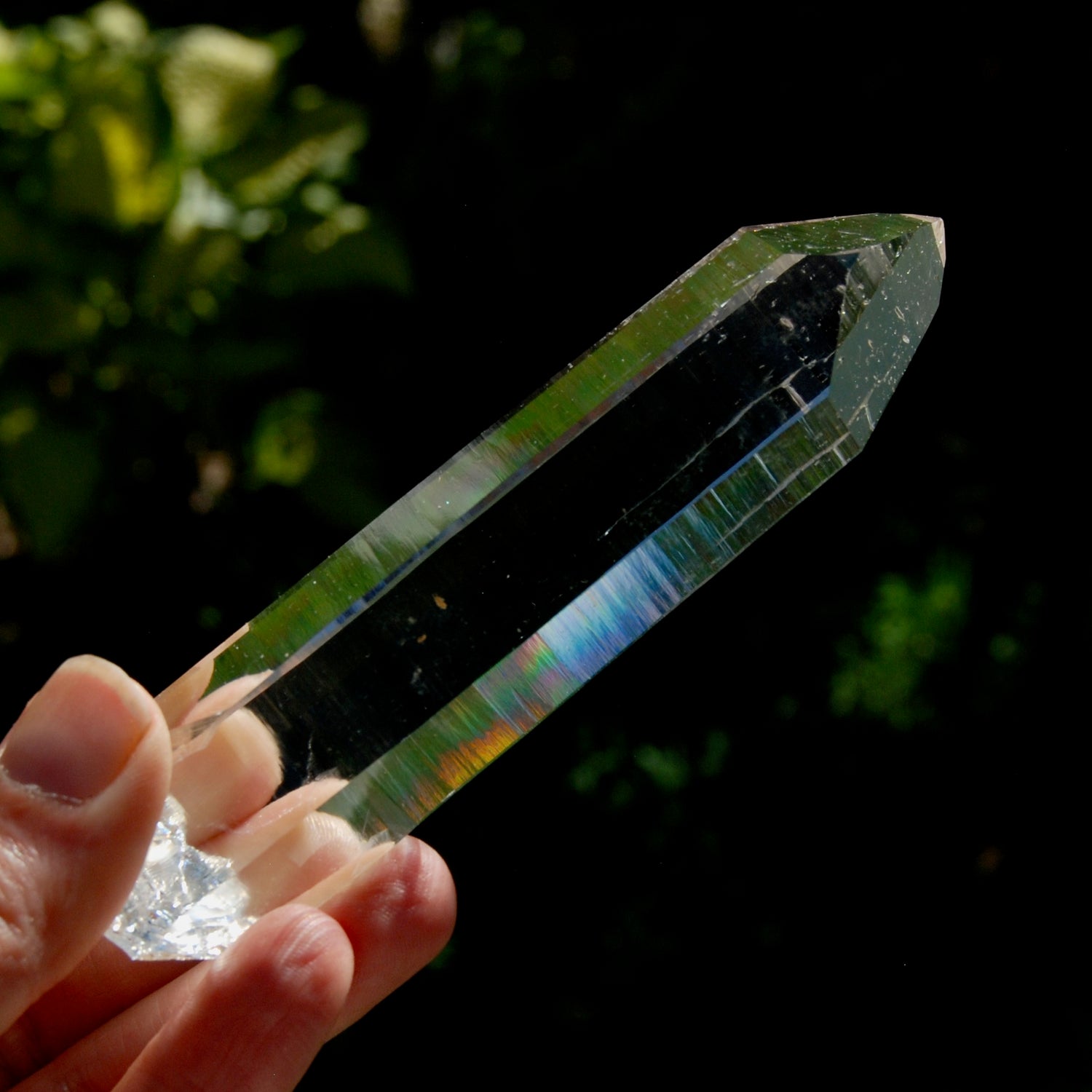 Trans Channeler Blades of Light Lemurian Crystal, 4.7" 135g Powerful Optical Quartz, Colombia