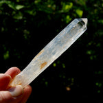 Colombian Blue Smoke Lemurian Crystal Starbary, RARE AAA Optical Quartz