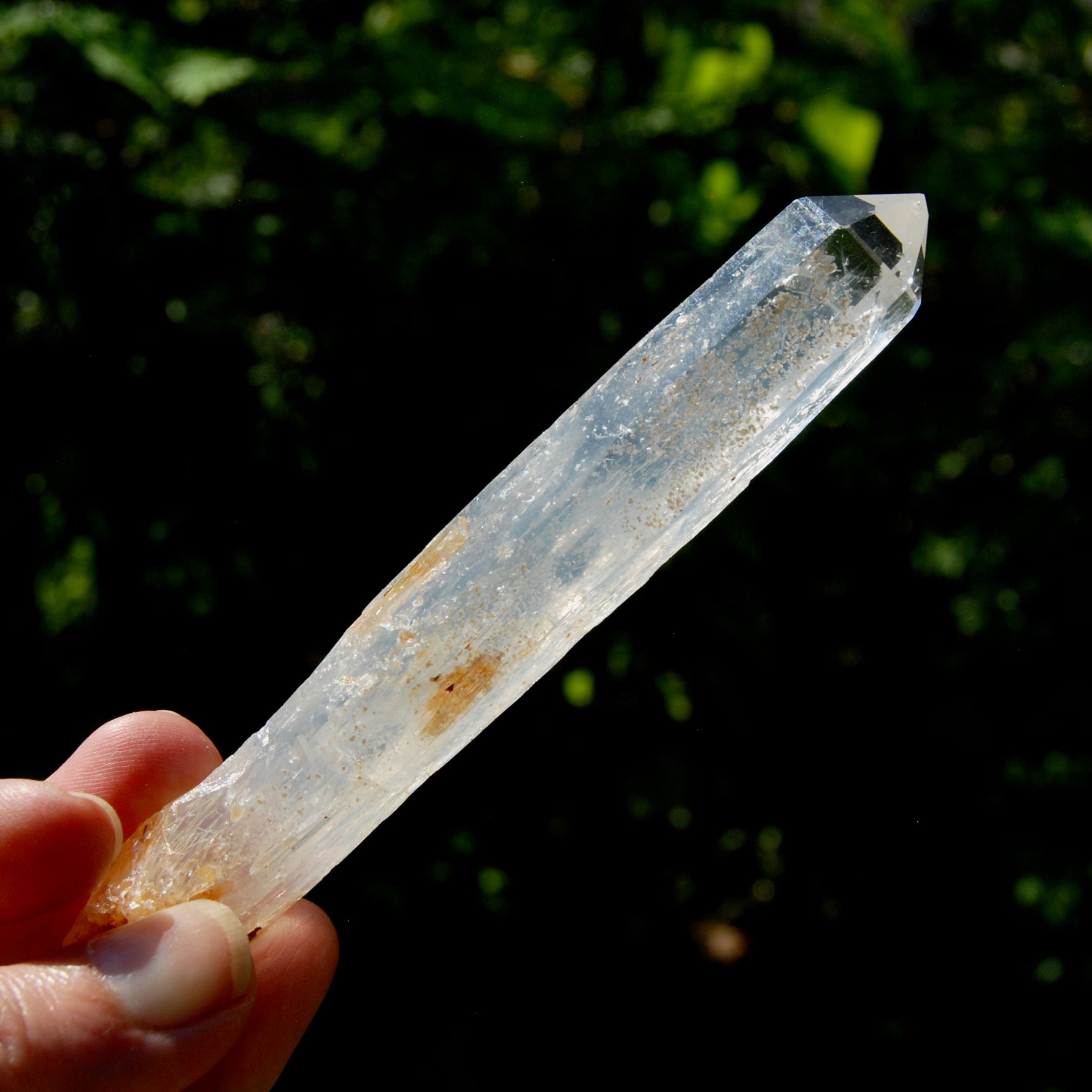 Colombian Blue Smoke Lemurian Crystal Starbary, RARE AAA Optical Quartz