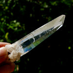 Lemurian Seed Lemurian Seed Quartz Crystal Laser, ColombiaQuartz Crystal Laser, Colombia