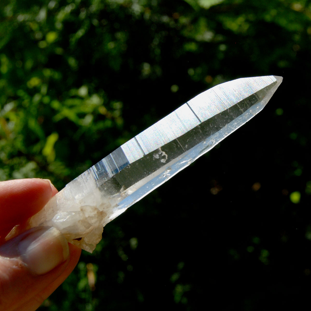 Lemurian Seed Quartz Crystal Laser, Colombia