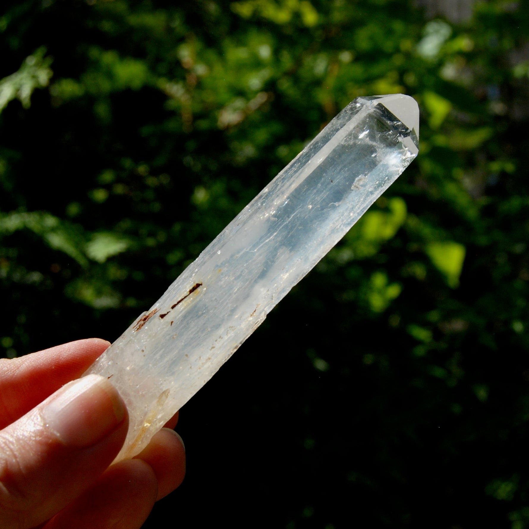 Colombian Blue Smoke Lemurian Crystal Starbary