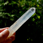 Colombian Blue Smoke Lemurian Crystal Starbary