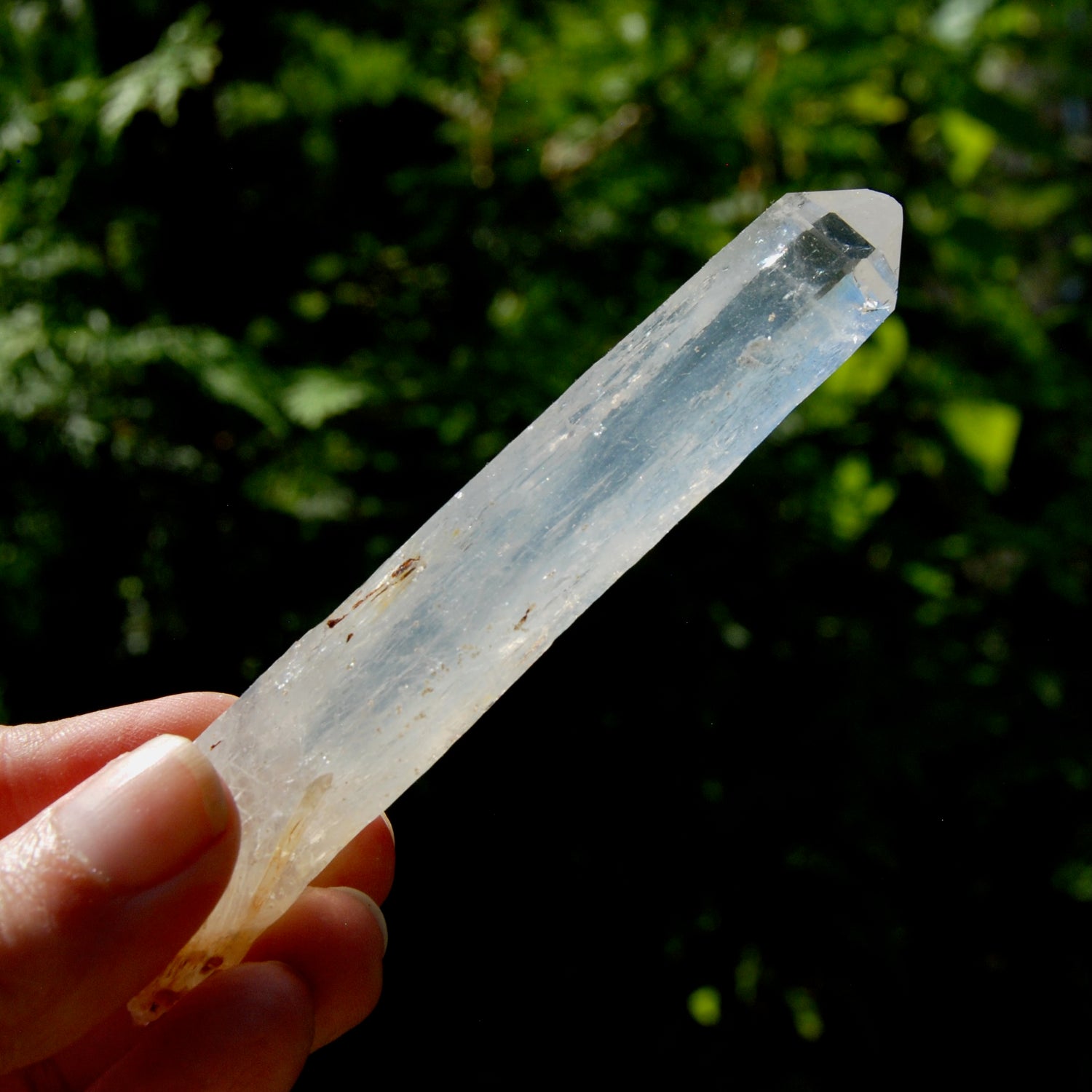 Colombian Blue Smoke Lemurian Crystal Starbary