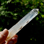 Colombian Blue Smoke Lemurian Crystal Starbary