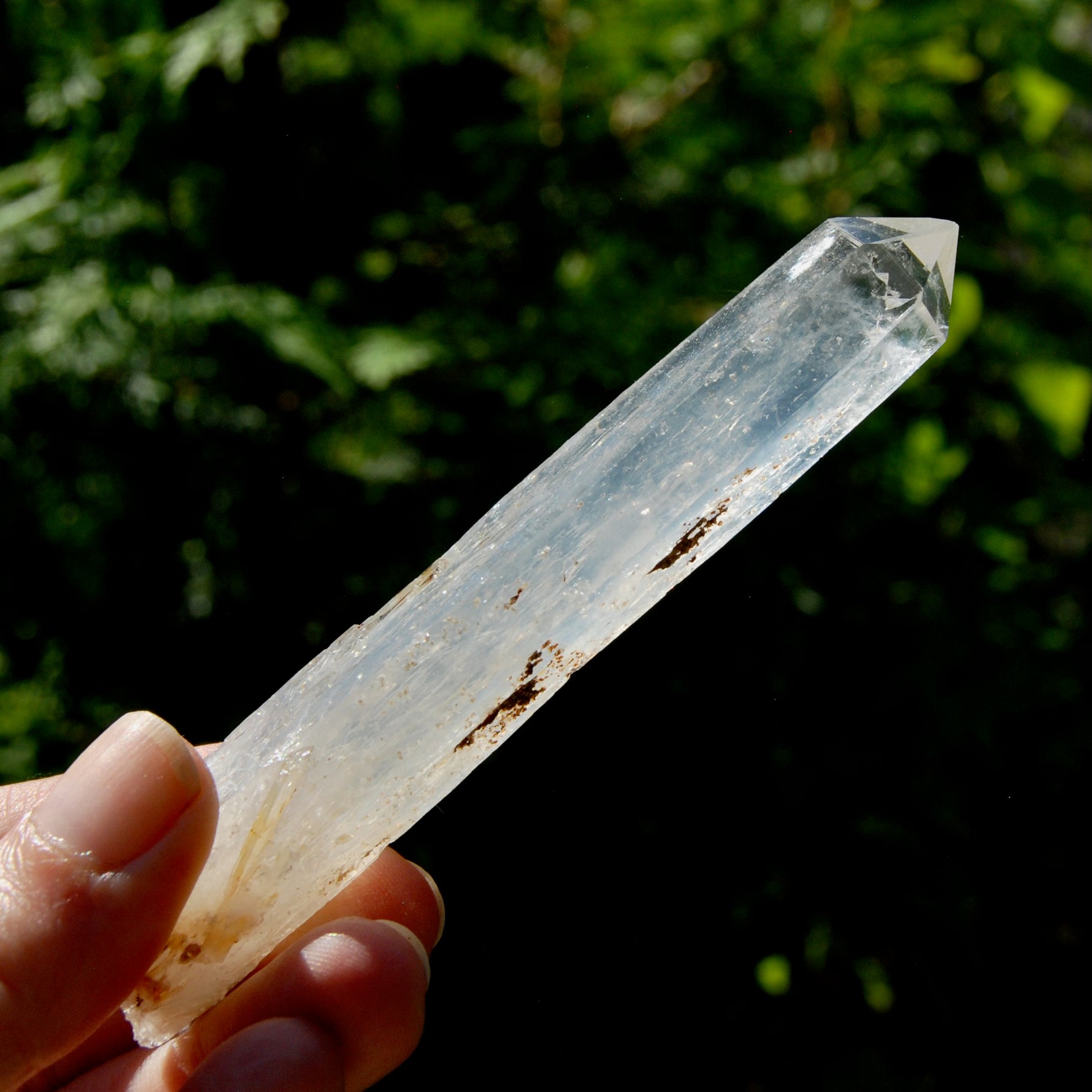 Colombian Blue Smoke Lemurian Crystal Starbary