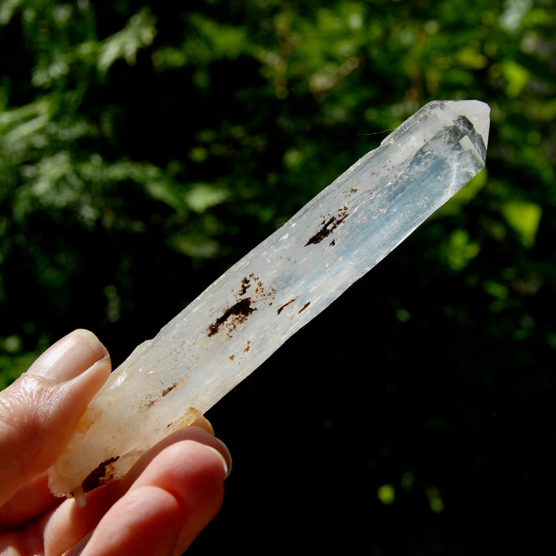 Colombian Blue Smoke Lemurian Crystal Starbary
