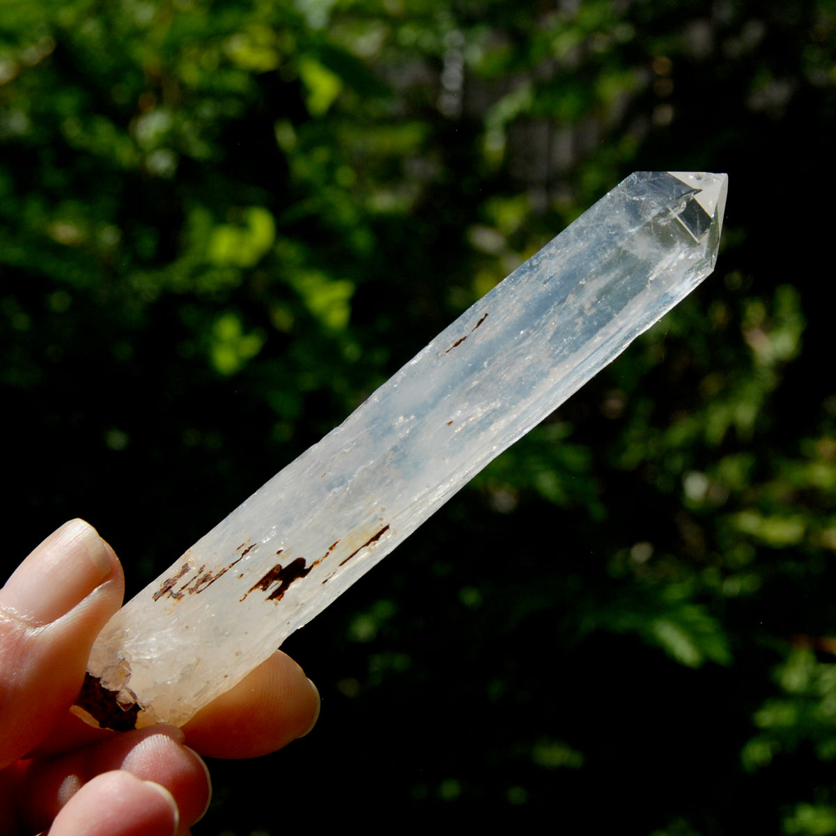 Colombian Blue Smoke Lemurian Crystal Starbary