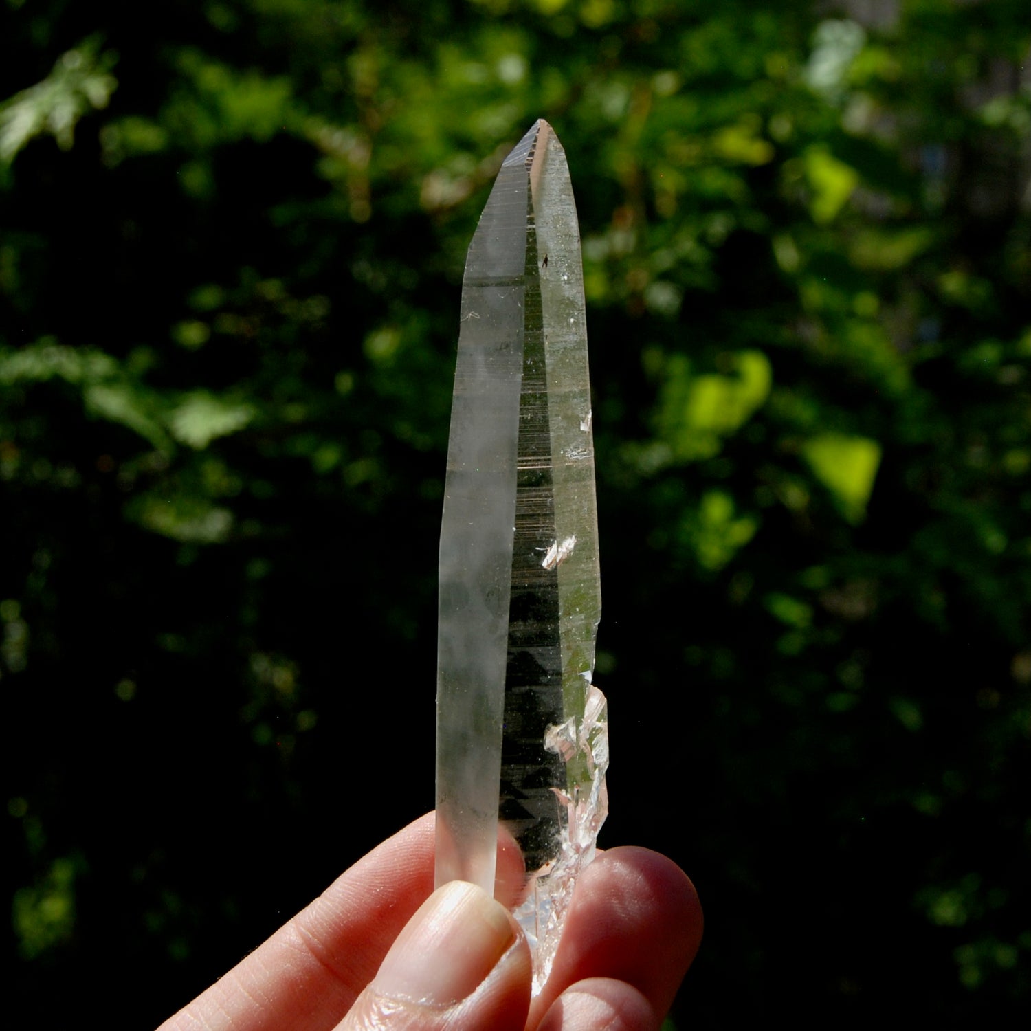 Lemurian Seed Crystal Laser, Colombia