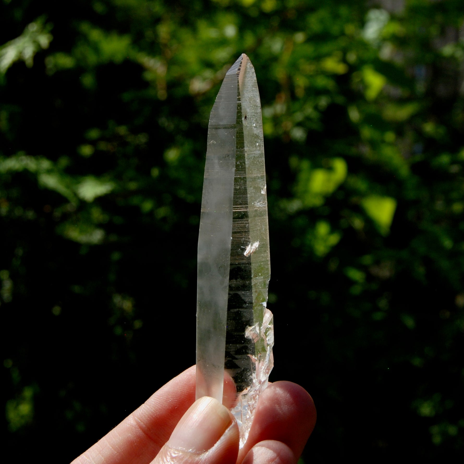 Lemurian Seed Crystal Laser, Colombia