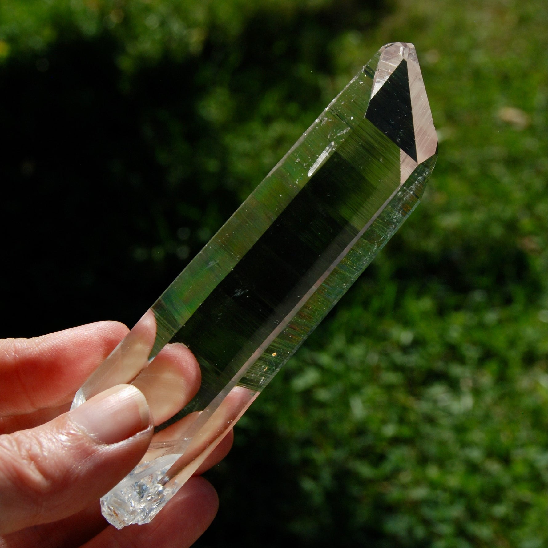 Trans Channeler Blades of Light Lemurian Crystal, 4.7" 135g Powerful Optical Quartz, Colombia