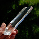 Trans Channeler Blades of Light Lemurian Crystal, 4.7" 135g Powerful Optical Quartz, Colombia