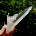 XL Lemurian Seed Crystal Laser Starbrary, 6.25" 226g Dolphin Cluster Optical Quartz, Colombia