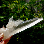 XL Lemurian Seed Crystal Laser Starbrary, 6.25" 226g Dolphin Cluster Optical Quartz, Colombia